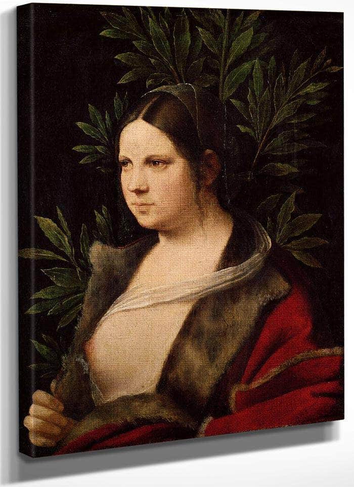 Laura 1506 By Giorgione Fine Art Print