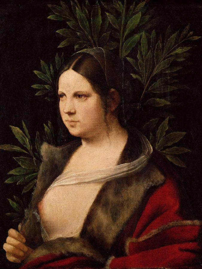 Laura 1506 By Giorgione Fine Art Print