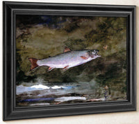 Leaping Trout By Winslow Homer Fine Art Print