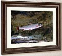 Leaping Trout By Winslow Homer Fine Art Print