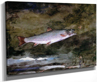 Leaping Trout By Winslow Homer Fine Art Print