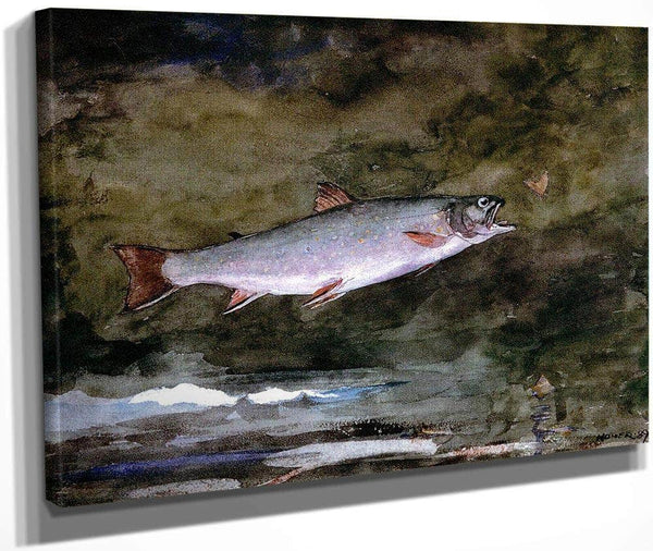 Leaping Trout By Winslow Homer Fine Art Print