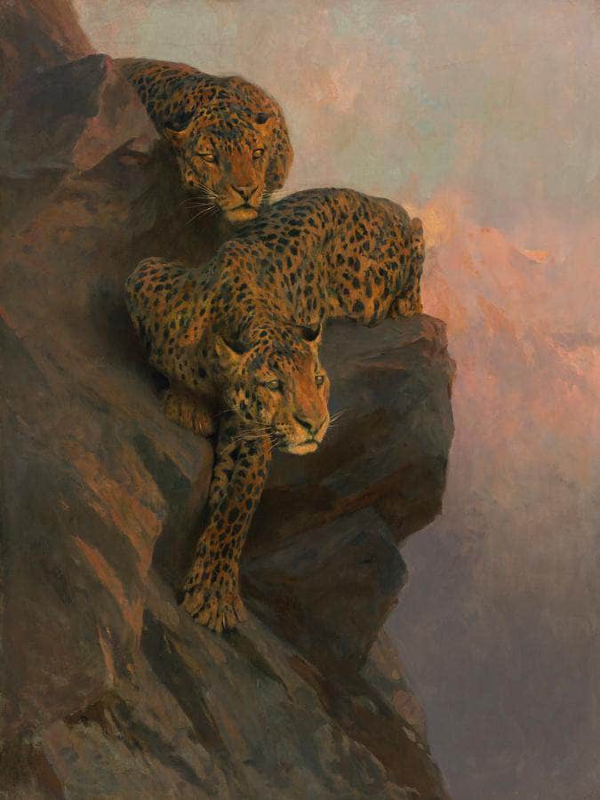 Leopards On The Lookout By Arthur Wardle Fine Art Print