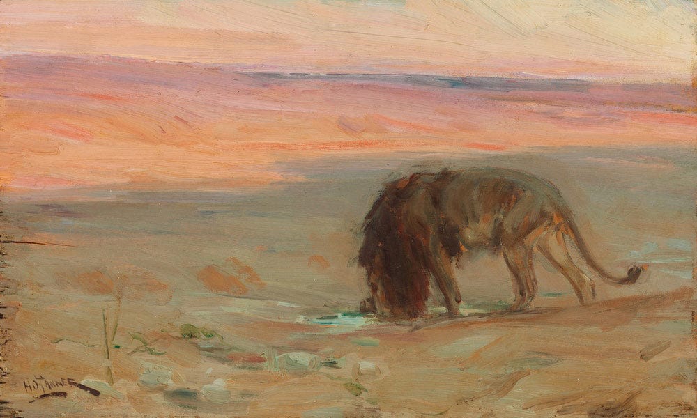 Lion Drinking 1897 By Henry Ossawa Tanner Fine Art Print