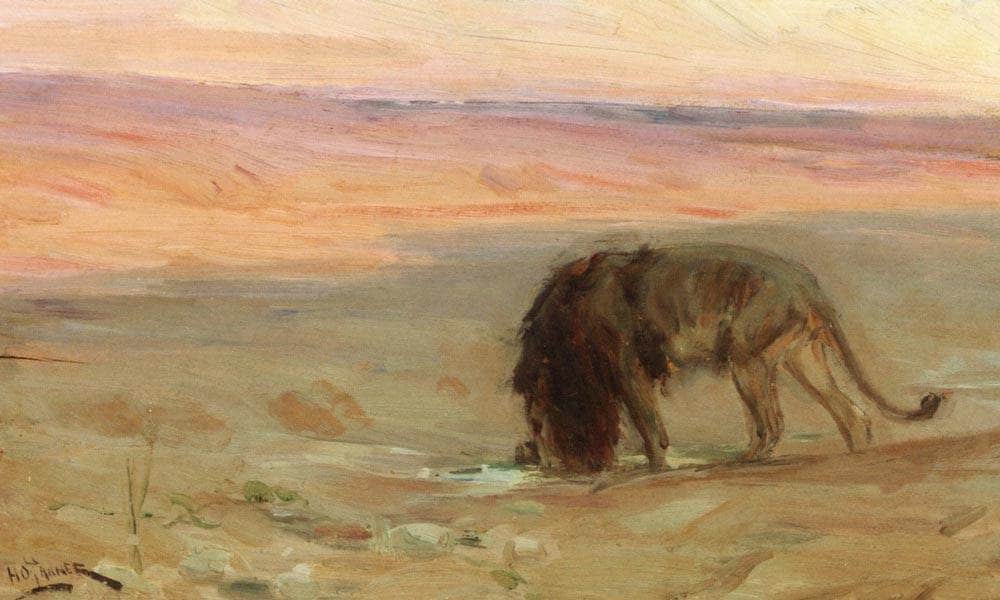 Lion Drinking By Henry Ossawa Tanner Fine Art Print