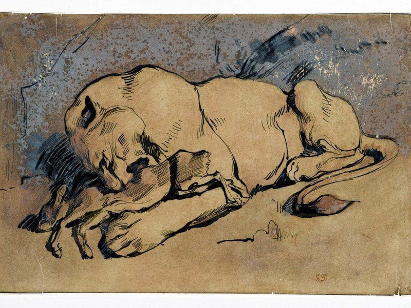 Lioness Devouring A Rabbit By Eugene Delacroix Fine Art Print