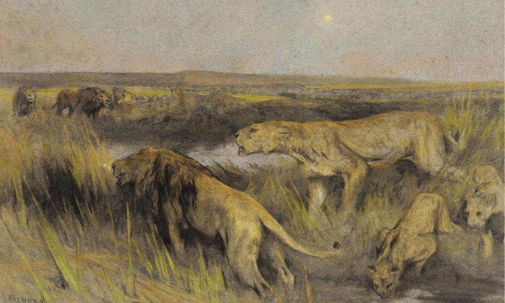 Lions In The Savannah By Arthur Wardle Fine Art Print