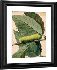 Lunar Caterpillar, Study For Book Concealing Coloration In The Animal Kingdom 1 By Abbott Handerson Thayer Fine Art Print