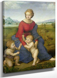 Madonna In The Meadow By Raphael Fine Art Print