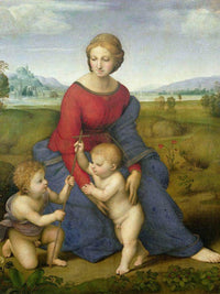 Madonna In The Meadow By Raphael Fine Art Print