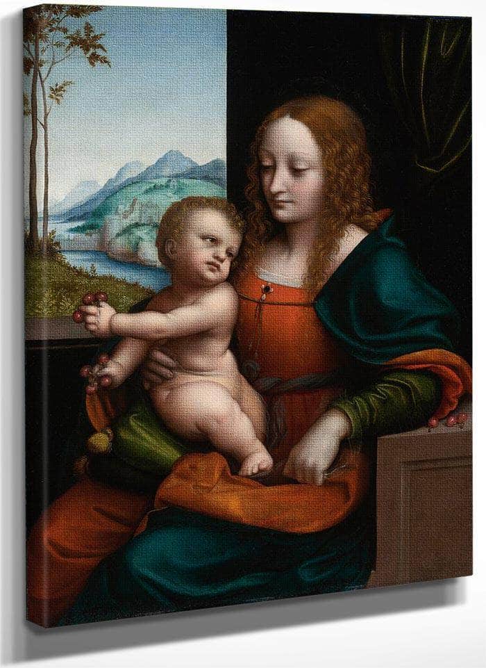 Madonna Of The Cherries 1525 By Giampietrino Fine Art Print