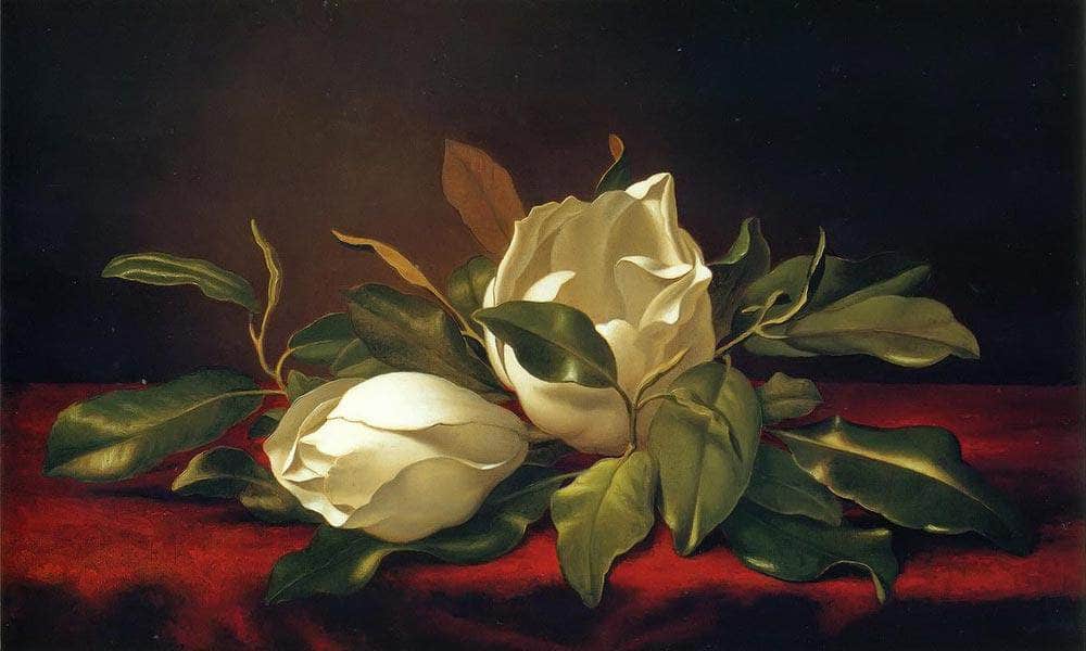 Magnoliae Grandiflorae By Martin Johnson Heade Fine Art Print