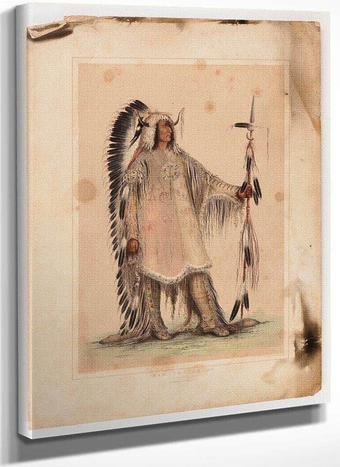Mah To Toh Pa, The Mandan Chief By George Catlin Fine Art Print