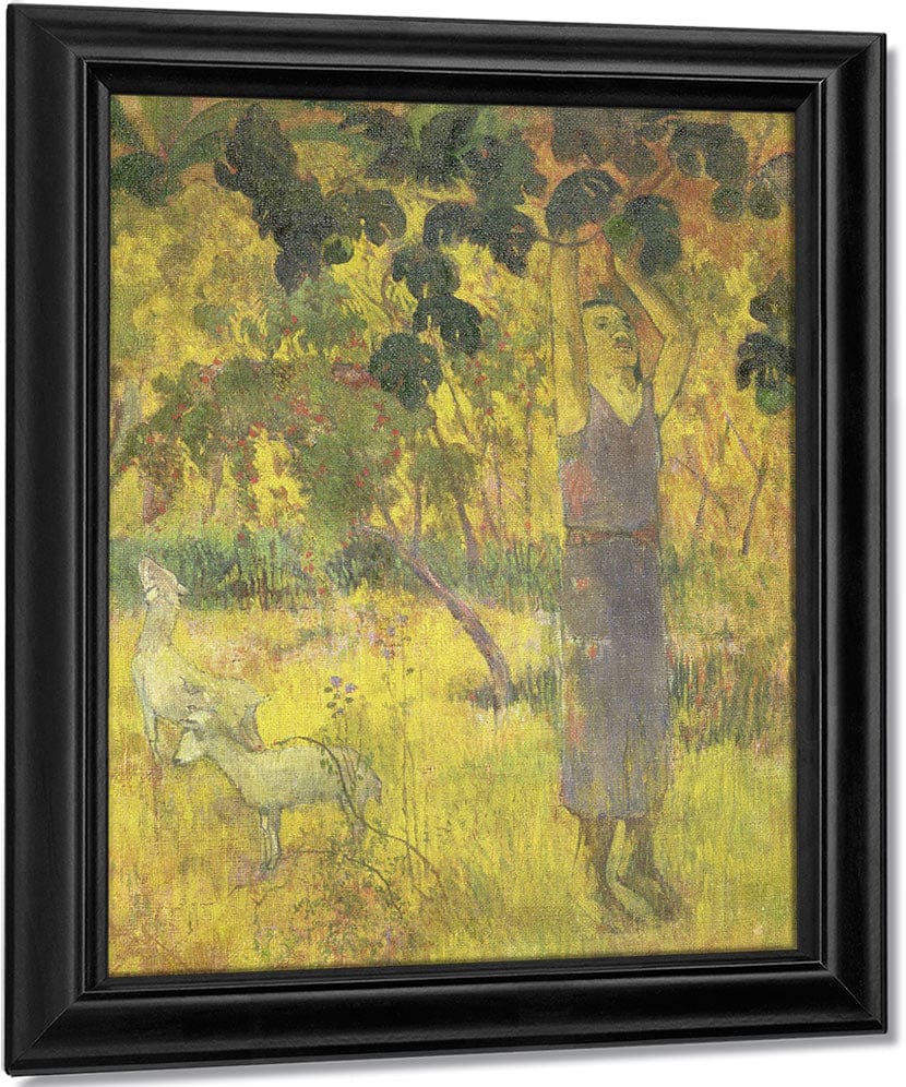 Man Picking Fruit From A Tree By Eugene Henri Paul Gauguin Fine Art Print