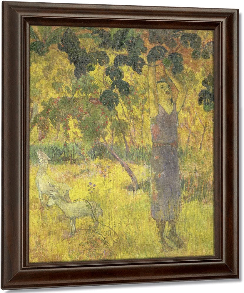 Man Picking Fruit From A Tree By Eugene Henri Paul Gauguin Fine Art Print