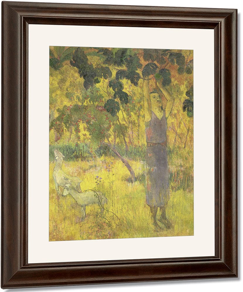 Man Picking Fruit From A Tree By Eugene Henri Paul Gauguin Fine Art Print