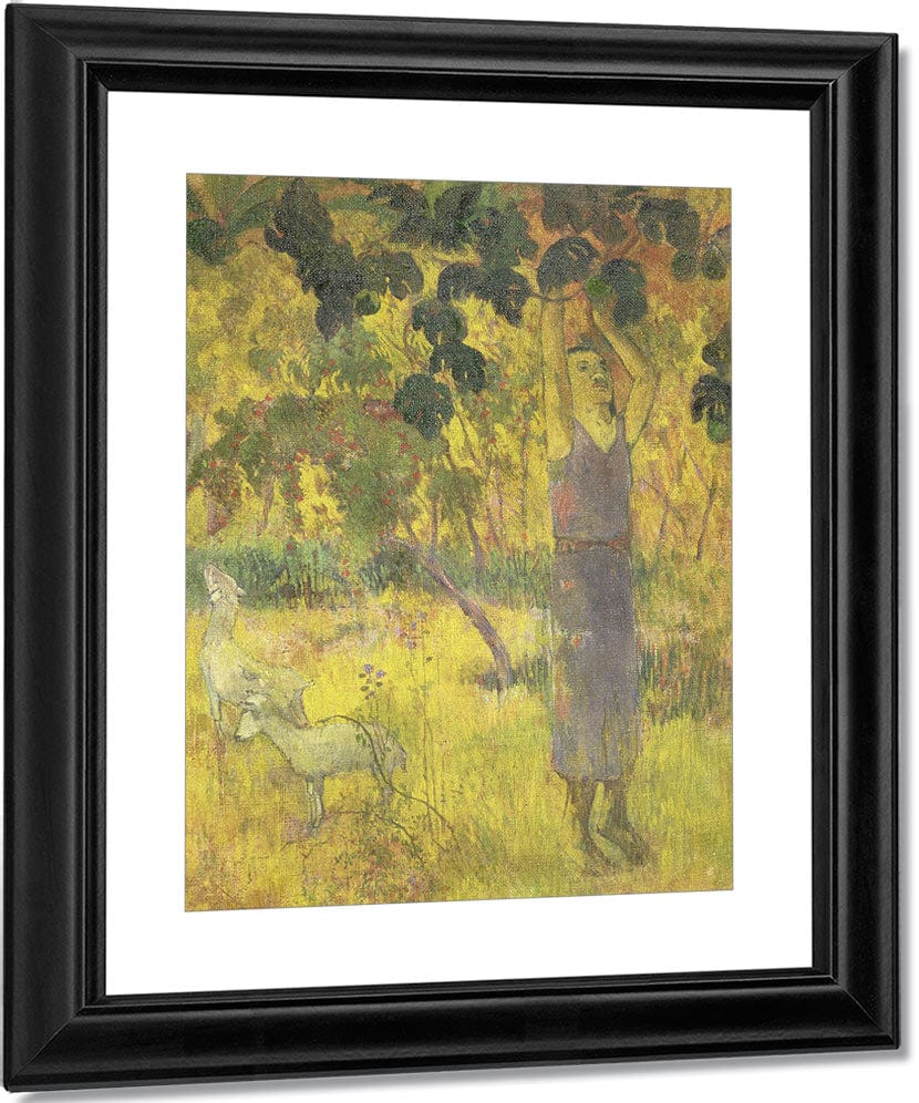 Man Picking Fruit From A Tree By Eugene Henri Paul Gauguin Fine Art Print