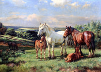 Mares And Foals In A Rolling English Country Painting Wright Barker Canvas Art Fine Art Print