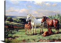 Mares And Foals In A Rolling English Country Painting Wright Barker Canvas Art Fine Art Print