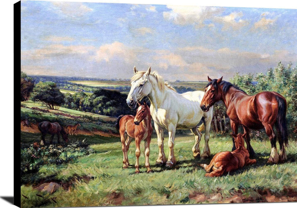 Mares And Foals In A Rolling English Country Painting Wright Barker Canvas Art Fine Art Print