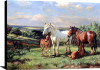 Mares And Foals In A Rolling English Country Painting Wright Barker Canvas Art Fine Art Print
