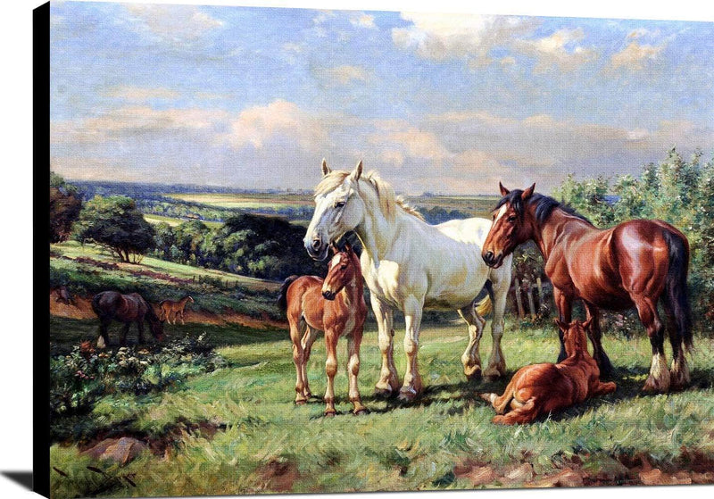 Mares And Foals In A Rolling English Country Painting Wright Barker Canvas Art Fine Art Print