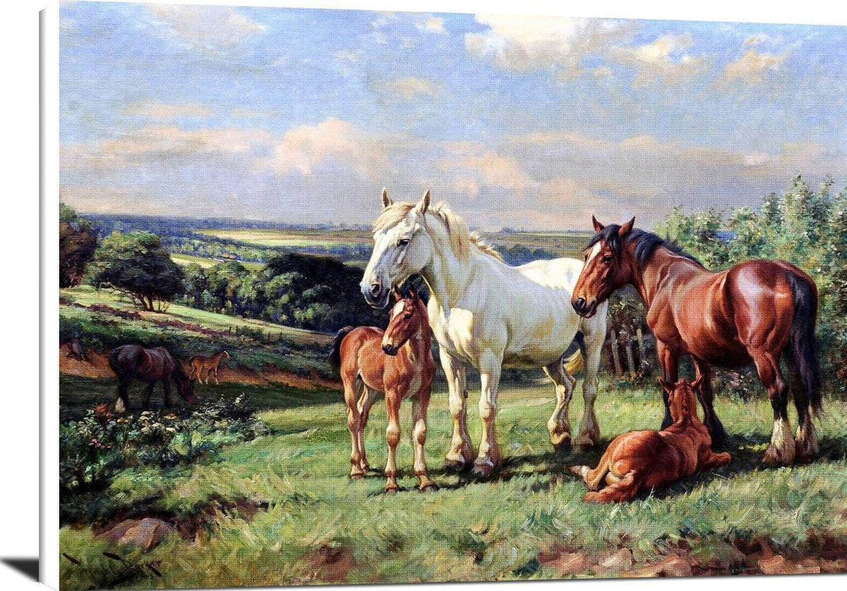 Mares And Foals In A Rolling English Country Painting Wright Barker Canvas Art Fine Art Print