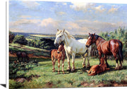 Mares And Foals In A Rolling English Country Painting Wright Barker Canvas Art Fine Art Print