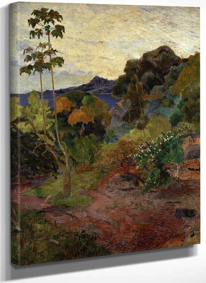 Martinique Landscape By Eugene Henri Paul Gauguin Fine Art Print