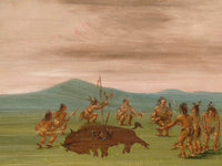 Medicine Buffalo Of The Sioux By George Catlin Fine Art Print