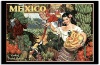 Mexico  Vintage Posterb Fine Art Print