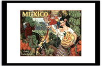 Mexico  Vintage Posterb Fine Art Print