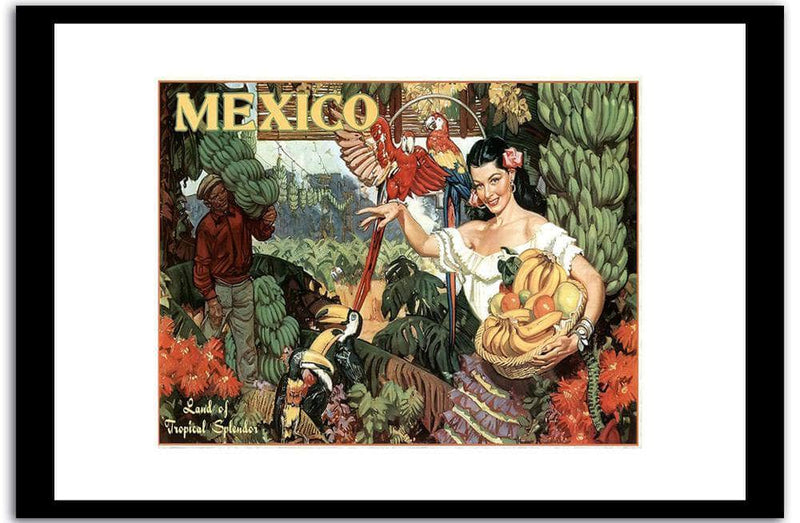Mexico  Vintage Posterb Fine Art Print