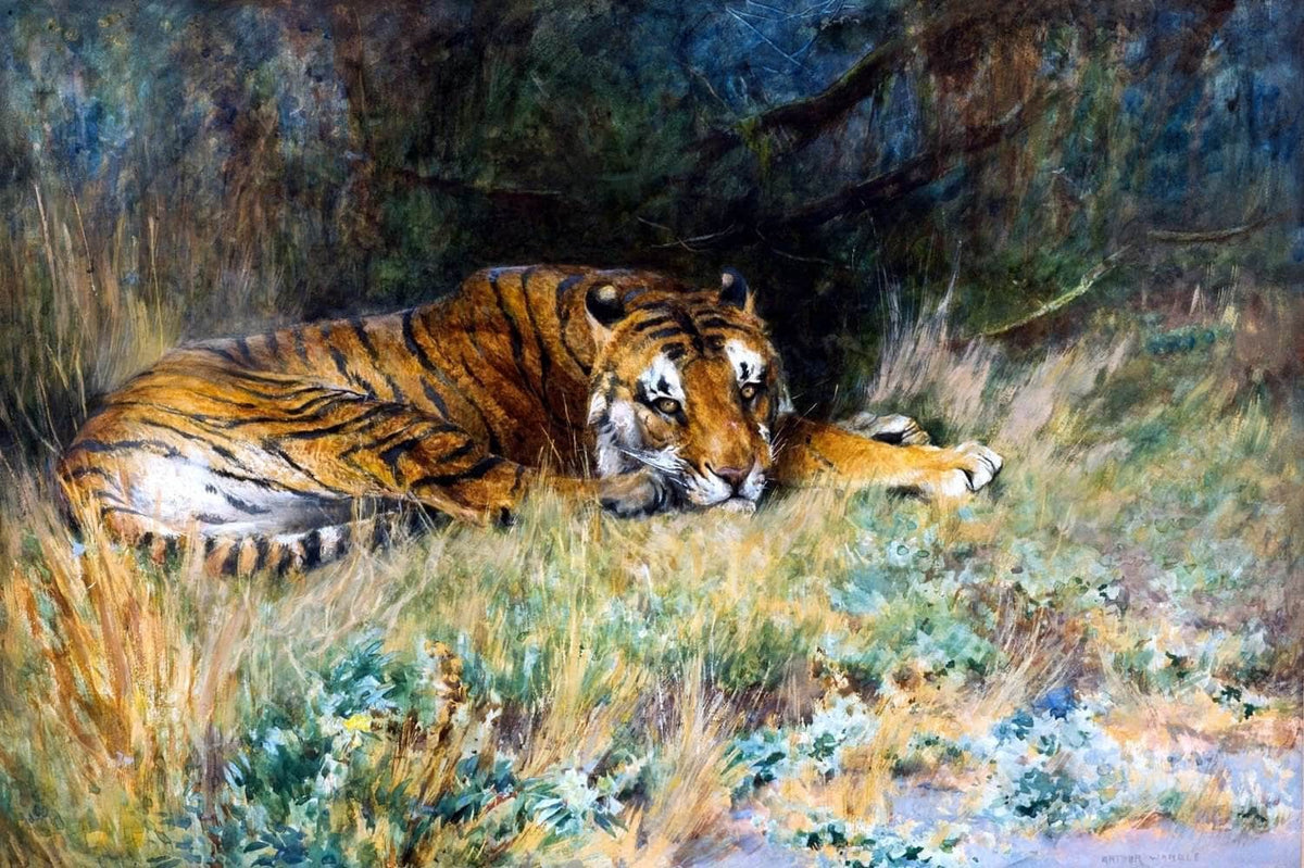Midday Rest Painting Arthur Wardle Canvas Art Fine Art Print