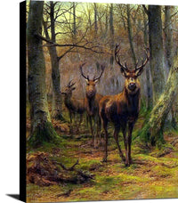 Monarch Of The Forest Painting Rosa Bonheur Canvas Art Fine Art Print