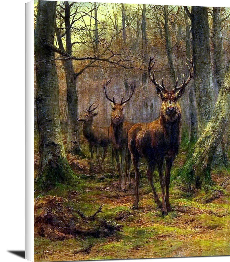 Monarch Of The Forest Painting Rosa Bonheur Canvas Art Fine Art Print
