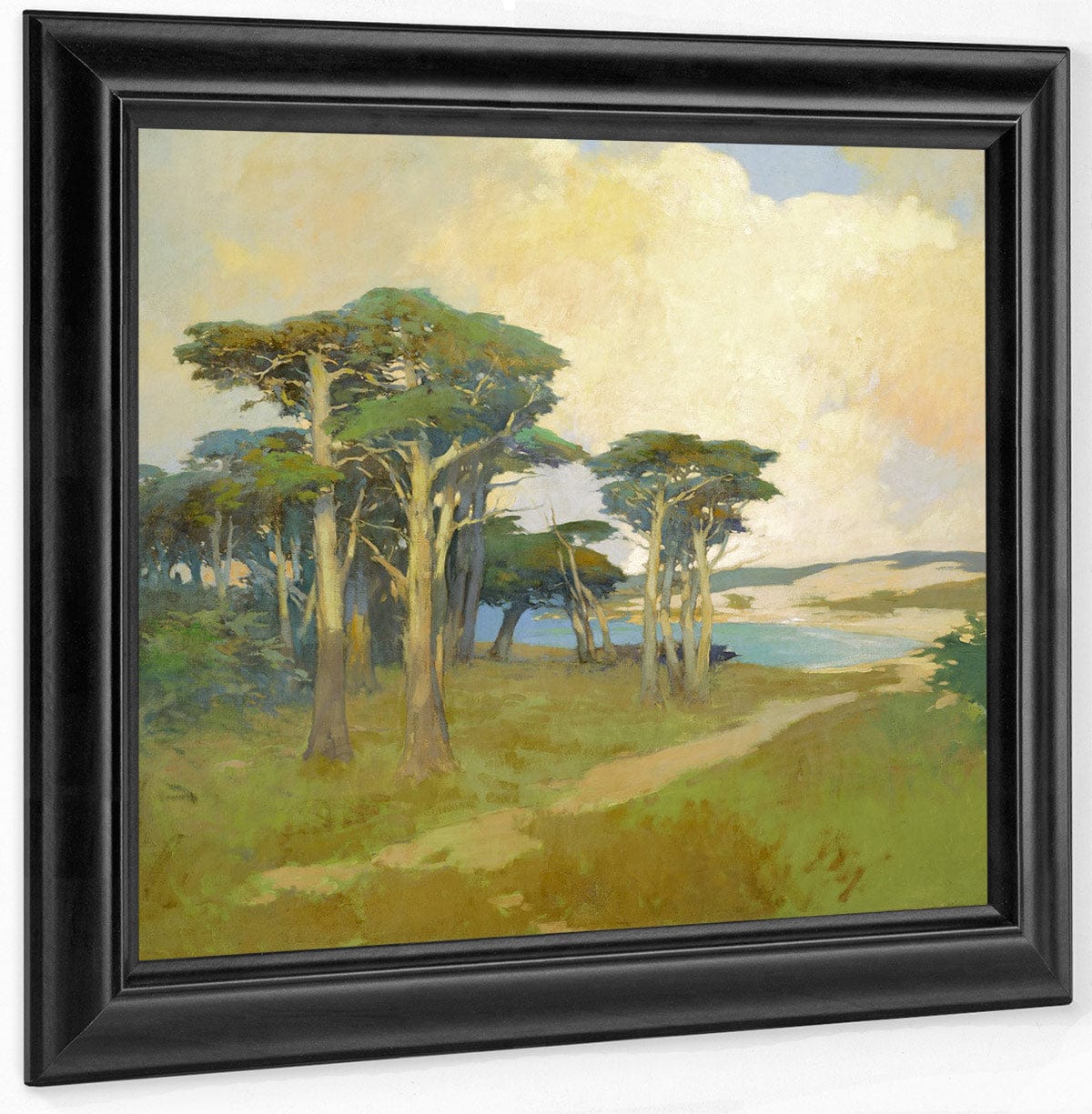 Monterey Cypress, California By Arthur Frank Mathews Fine Art Print