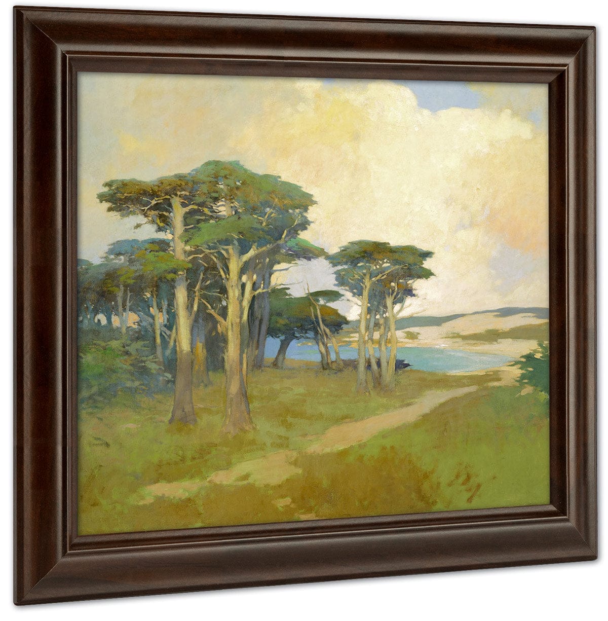 Monterey Cypress, California By Arthur Frank Mathews Fine Art Print