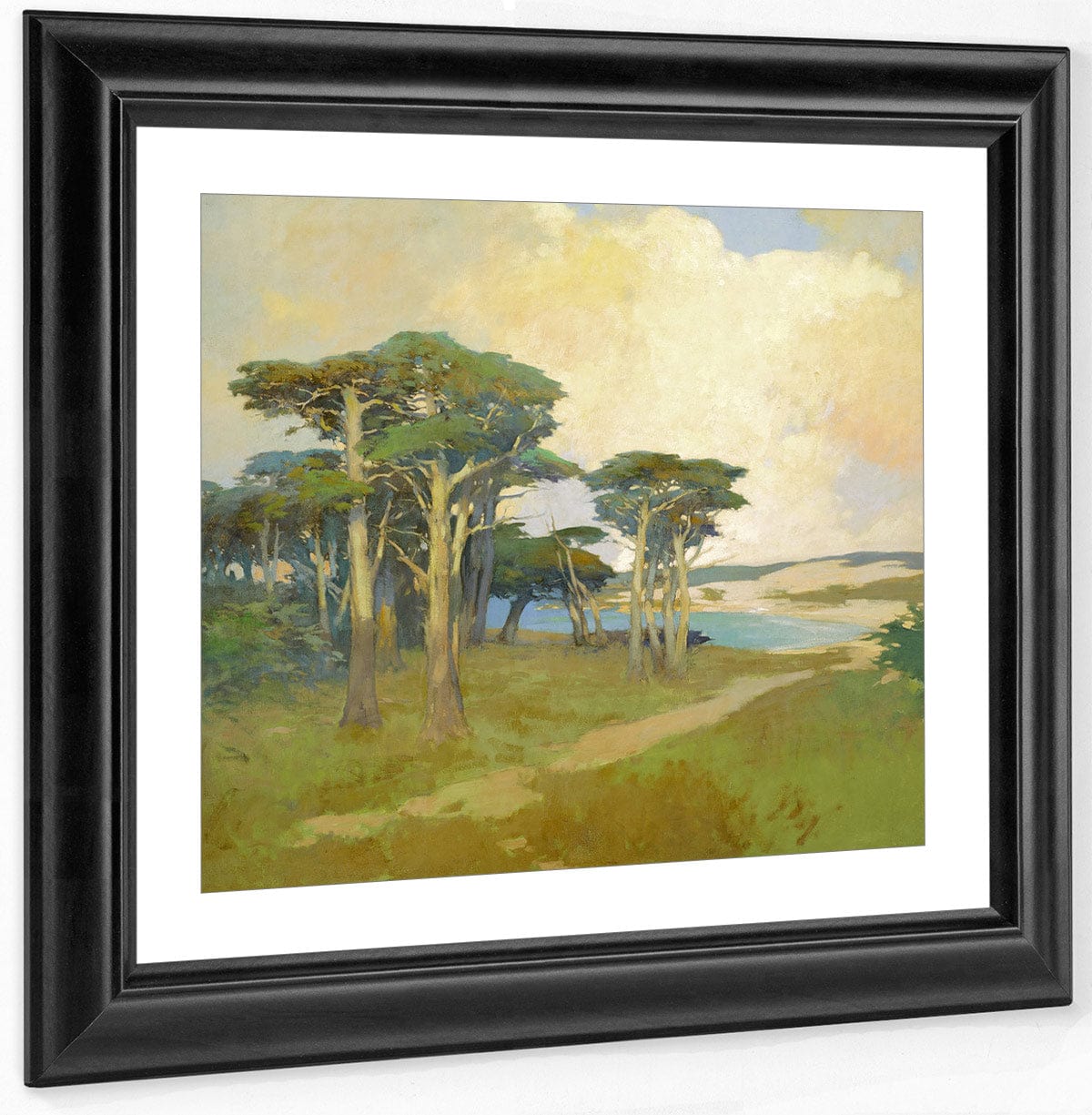 Monterey Cypress, California By Arthur Frank Mathews Fine Art Print