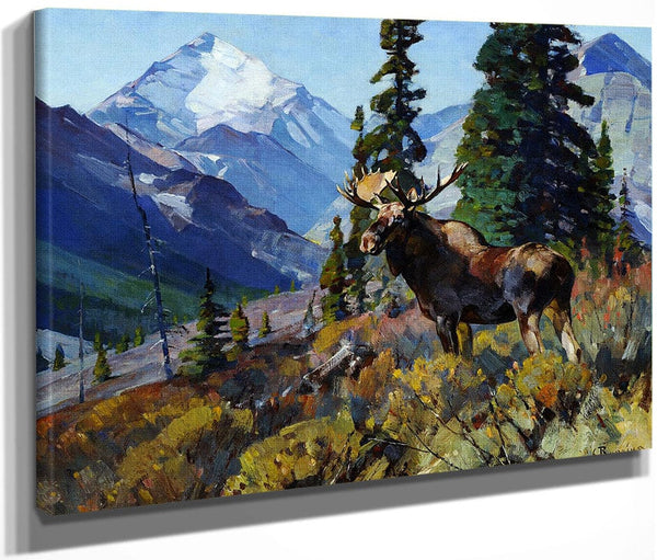 Moose On The Head Of Ram River By Carl Rungius Fine Art Print