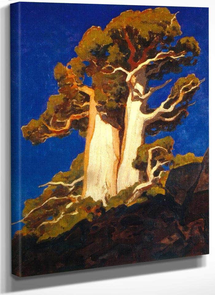 Mountain Juniper By Maynard Dixon Fine Art Print
