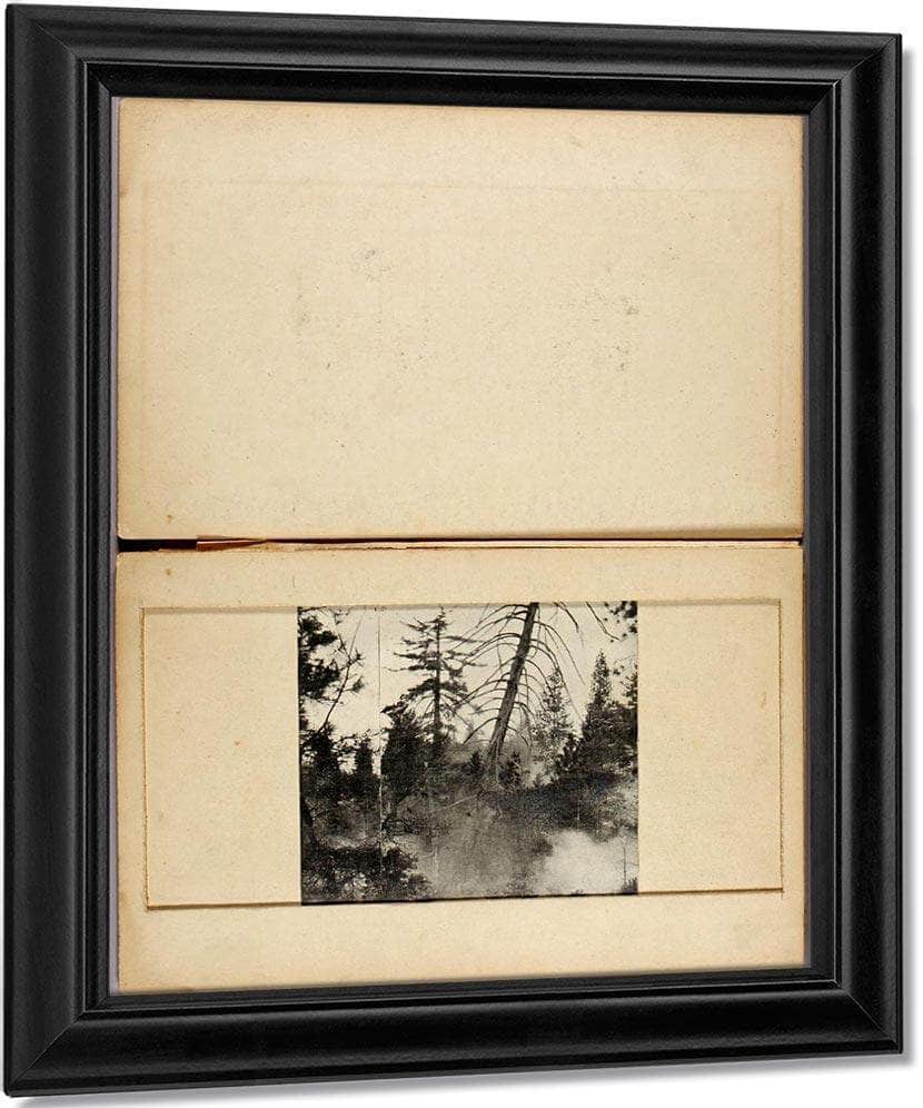 Moving Deer, Study Folder For Book Concealing Coloration In The Animal Kingdom By Abbott Handerson Thayer Fine Art Print