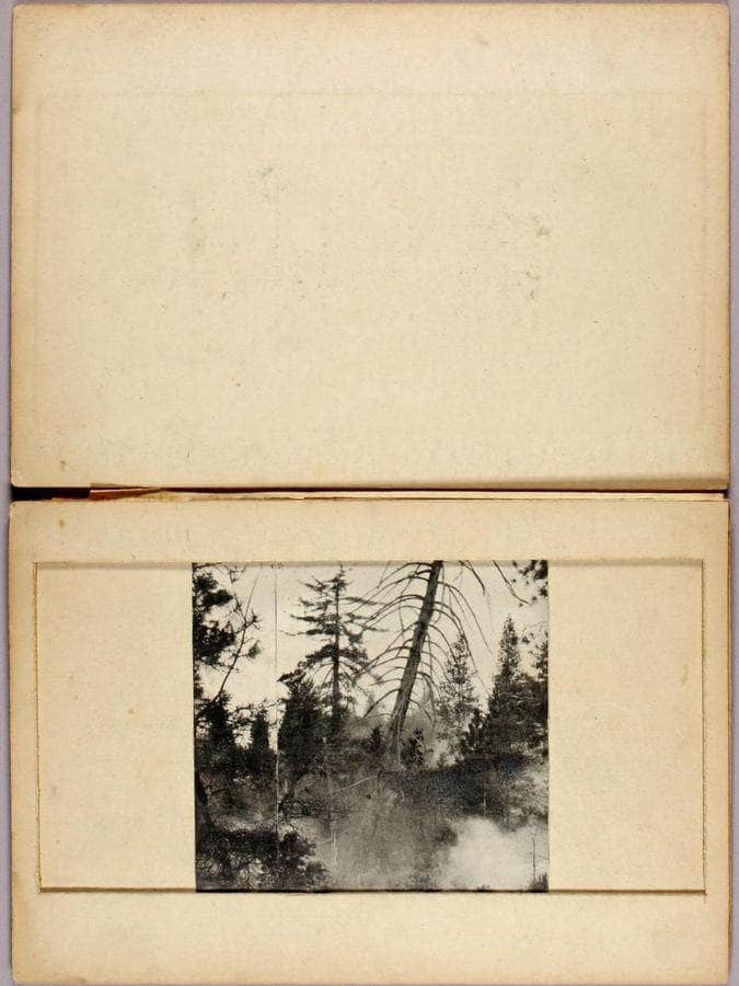 Moving Deer, Study Folder For Book Concealing Coloration In The Animal Kingdom By Abbott Handerson Thayer Fine Art Print