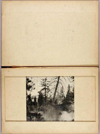 Moving Deer, Study Folder For Book Concealing Coloration In The Animal Kingdom By Abbott Handerson Thayer Fine Art Print