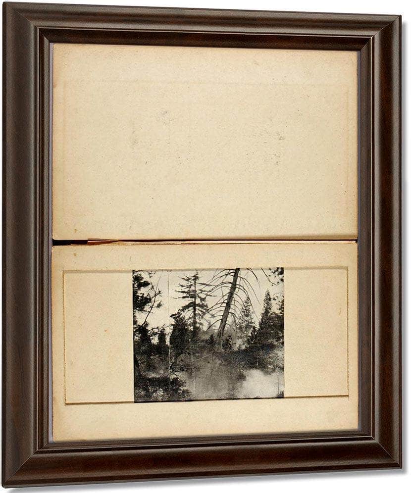 Moving Deer, Study Folder For Book Concealing Coloration In The Animal Kingdom By Abbott Handerson Thayer Fine Art Print