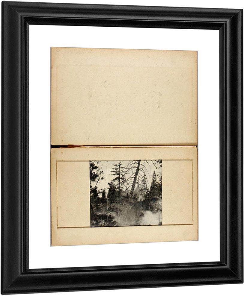 Moving Deer, Study Folder For Book Concealing Coloration In The Animal Kingdom By Abbott Handerson Thayer Fine Art Print