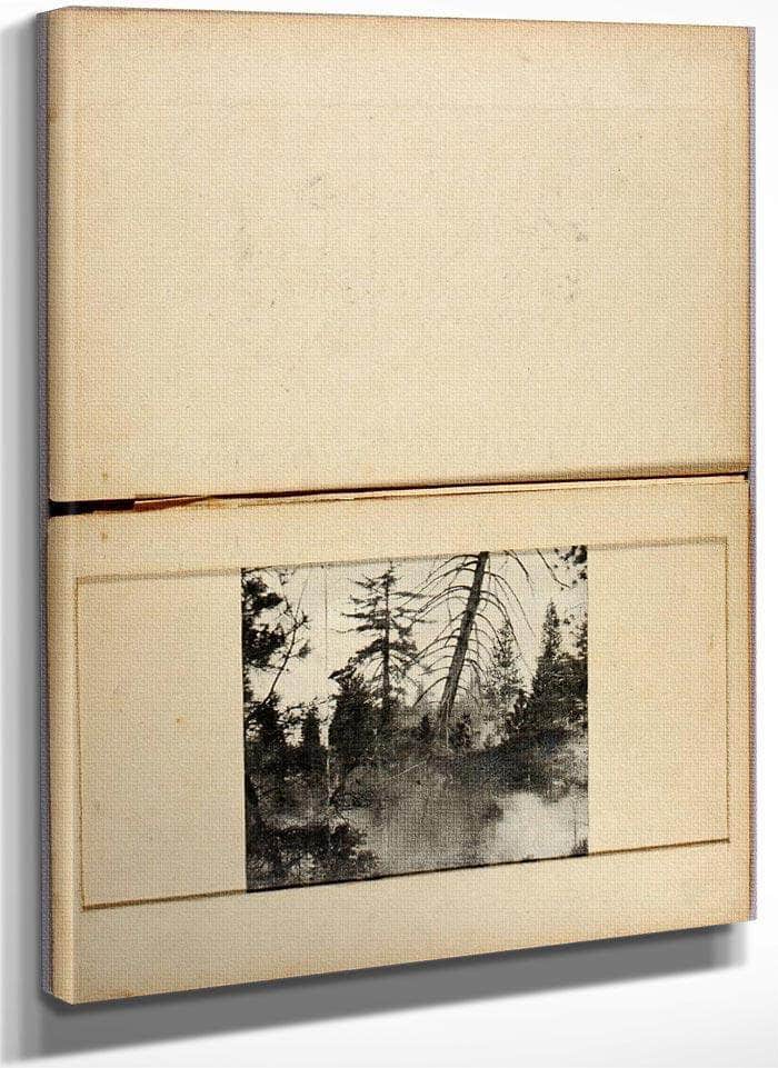 Moving Deer, Study Folder For Book Concealing Coloration In The Animal Kingdom By Abbott Handerson Thayer Fine Art Print