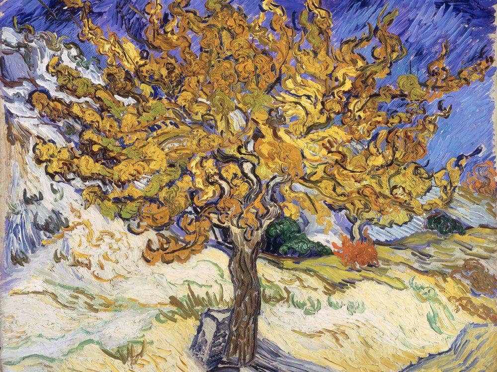 Mulberry Tree By Vincent Van Gogh Fine Art Print