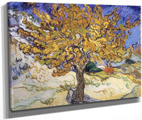 Mulberry Tree By Vincent Van Gogh Fine Art Print