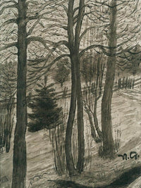 Naked Trees By Nicolai Astrup Fine Art Print
